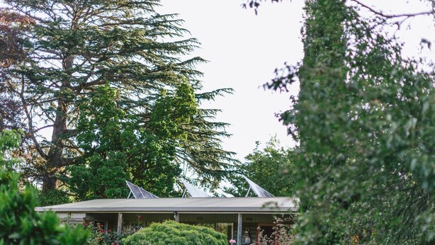 A modern building with a flat roof, surrounded by lush greenery and flowering plants. - Riverdale - An escape from the Yarra Valley (Wesburn)