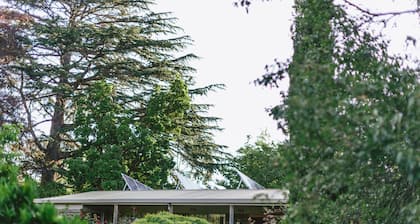 Riverdale - Eine Flucht aus dem Yarra-Tal