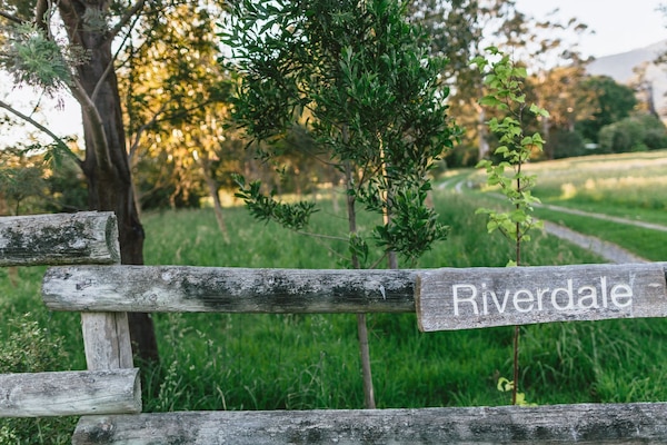 Welcome to Riverdale!