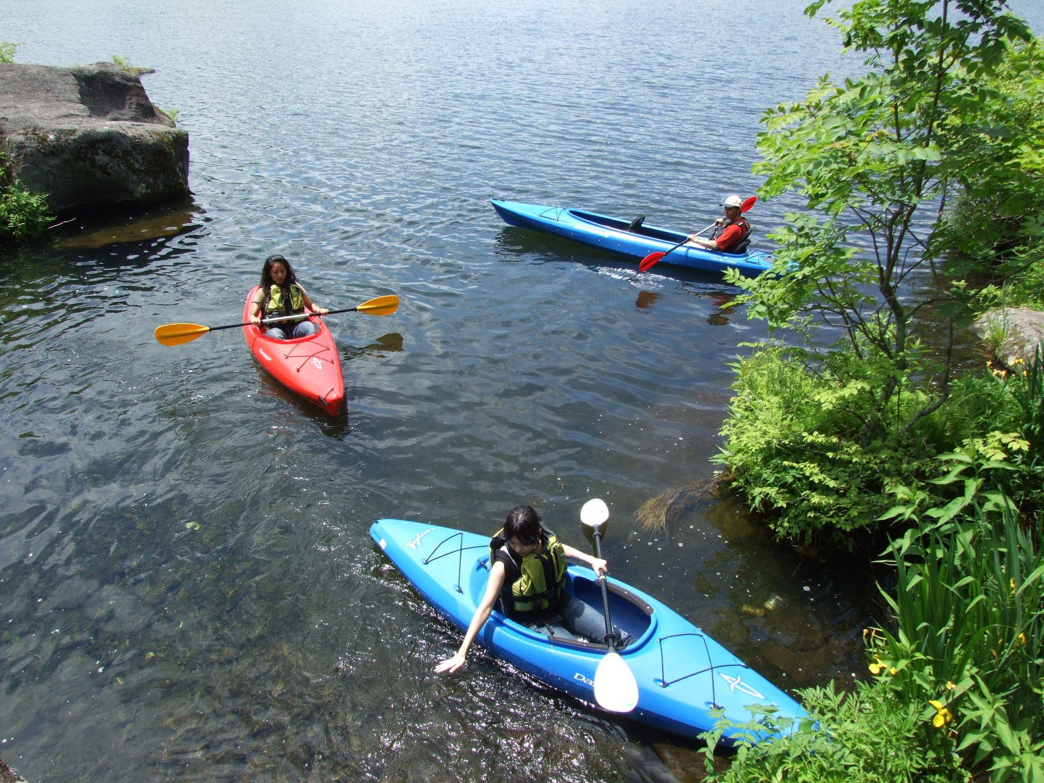 Three kayaks on a calm river surrounded by greenery.