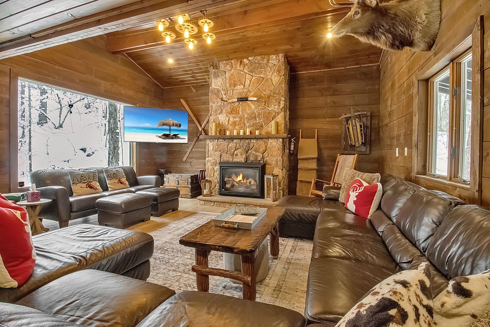 TV, peis, videospill og bøker