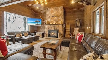 TV, fireplace, video games, books