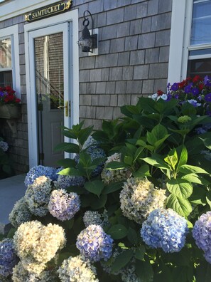 Exterior detail - Charming cottage, close to lower Main Street. (nantucket)