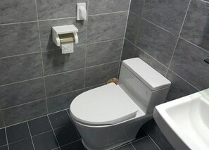 Regadera, amenidades de baño gratuitas, secadora de cabello, toallas