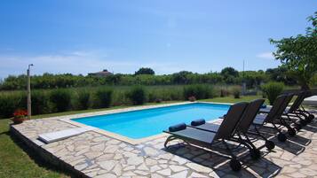 Outdoor pool, pool umbrellas, sun loungers