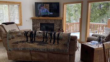 TV connectée, cheminée, lecteur de DVD, livres