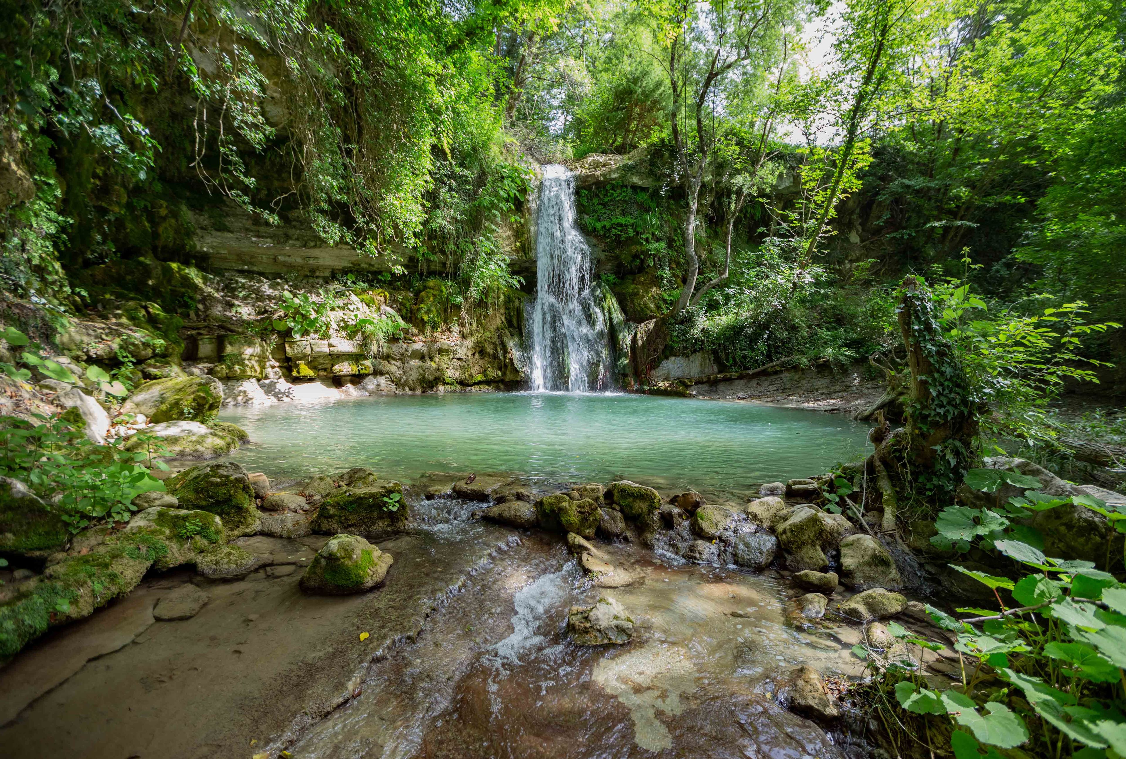Ein natürlich wirkender Wasserfall, umgeben von üppiger Vegetation und einem ruhigen Pool.