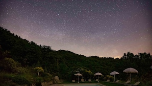 A swimming pool with a stone border, surrounded by lounge chairs and umbrellas, set against a backdrop of a starry night sky and a forested hillside. - Casa Rosa (Assisi)