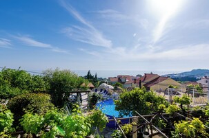 A residential area with a swimming pool, vineyard, and houses with red-tiled roofs.
