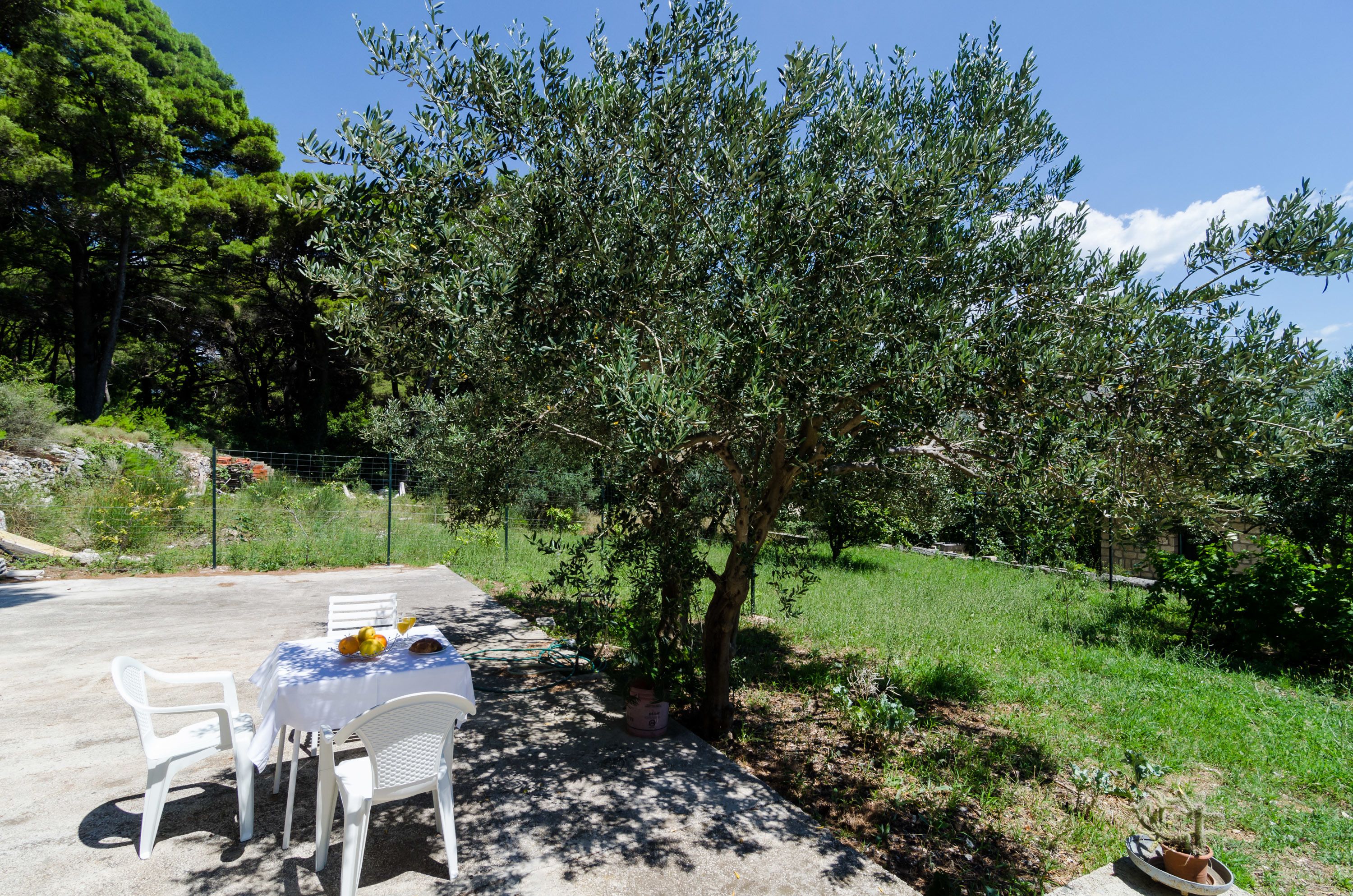 Photo - Apartments & Rooms Tapera