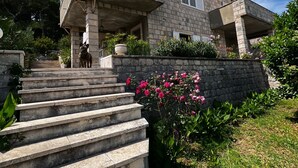 A two-story house with a stone facade, a dog on the front steps, and a garden with pink flowers. - Apartments Tapera (Dubrovnik)