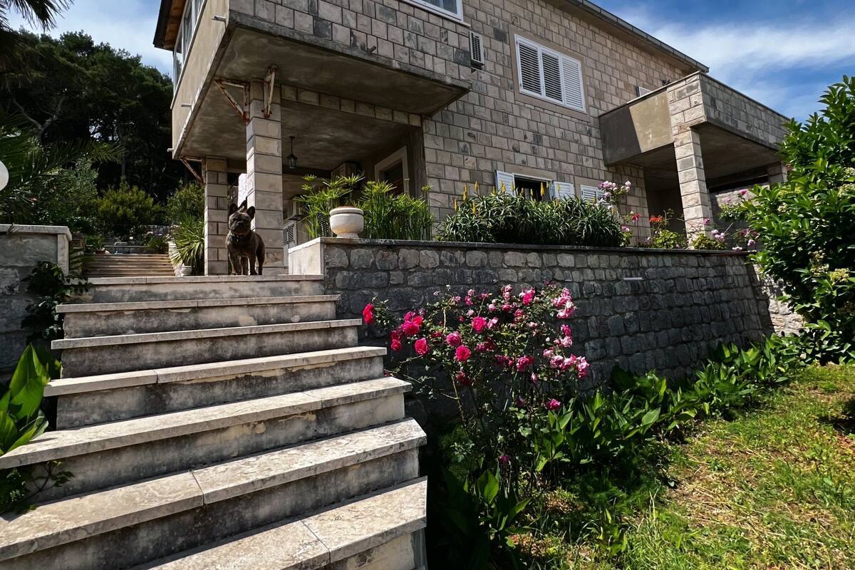 A two-story house with a stone facade, a dog on the front steps, and a garden with pink flowers.