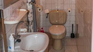 Double Room | Bathroom | Shower, hair dryer, towels