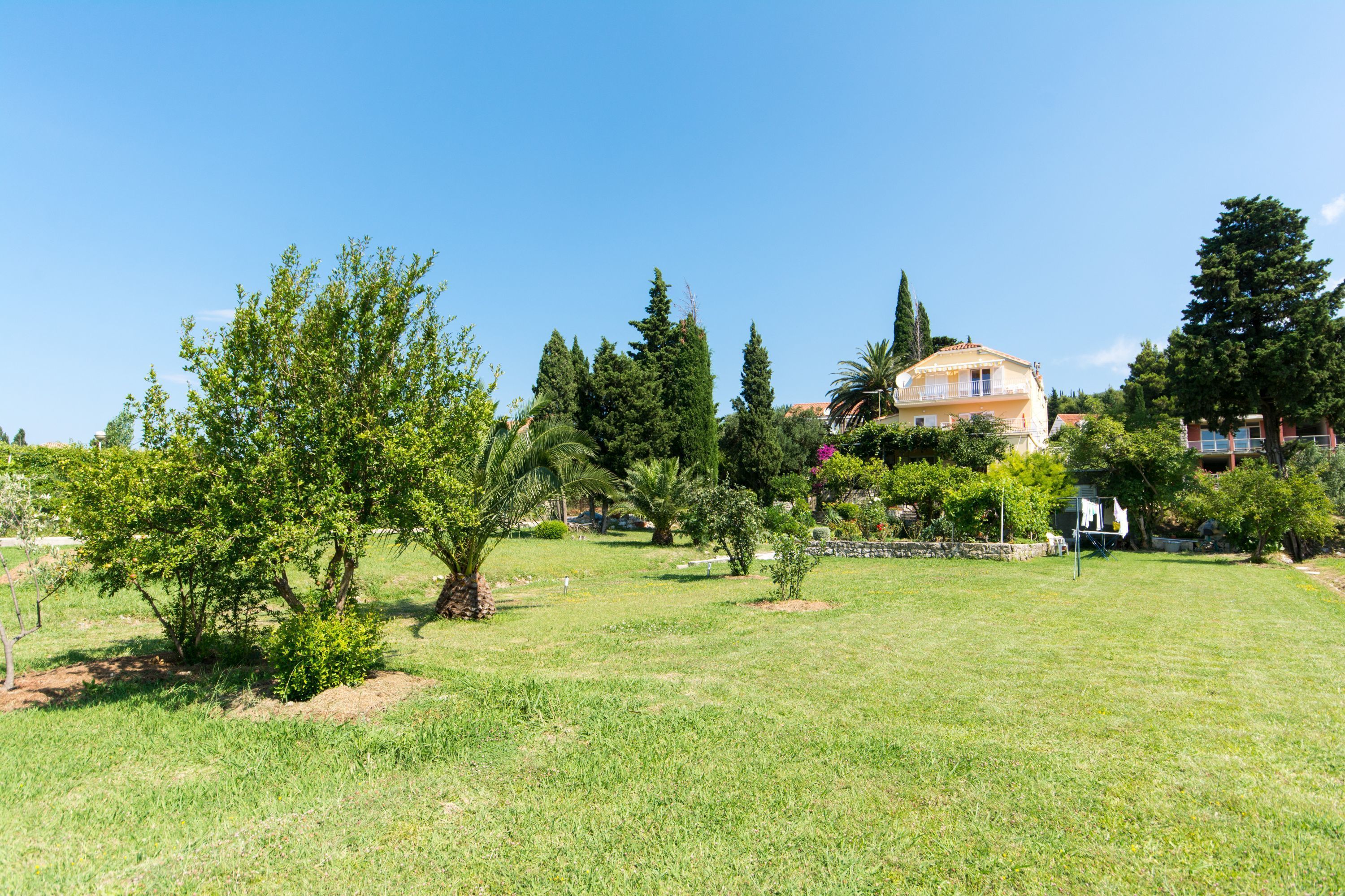 A grassy area with trees and a building in the background.