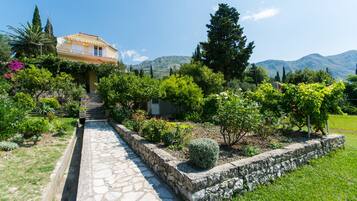 Studio, Terrasse, Gartenblick | Terrasse/Patio