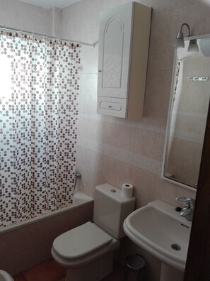 Combined shower/tub, hair dryer, bidet, towels