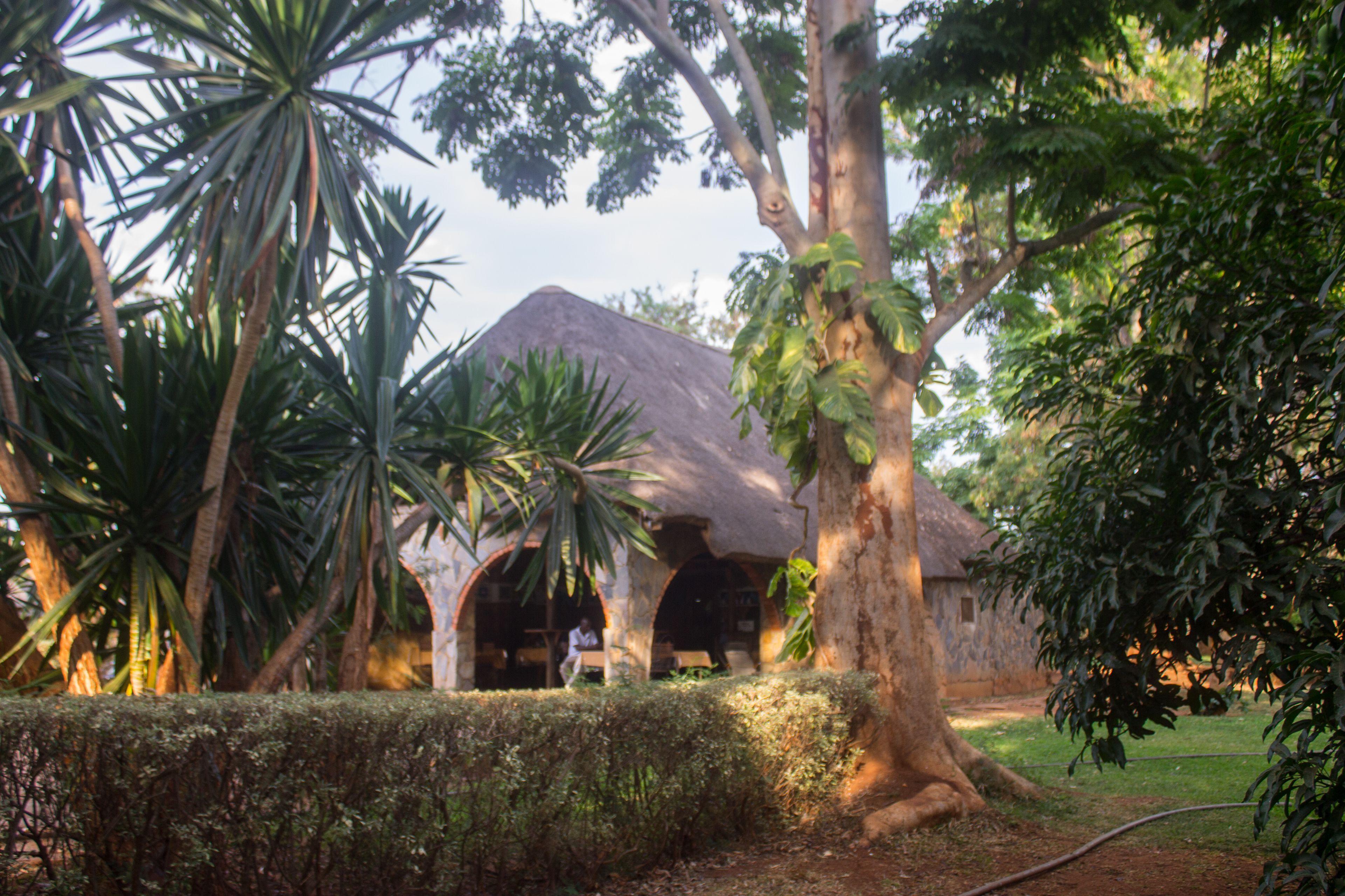 A traditional building with a thatched roof, surrounded by lush greenery and palm trees.