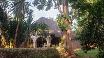 A traditional building with a thatched roof, surrounded by lush greenery and palm trees.