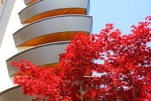 Fassade der Unterkunft