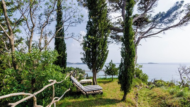 A wooden bench with a mattress on a grassy area surrounded by trees, overlooking a body of water. - Color Apartments (Zupa dubrovacka)