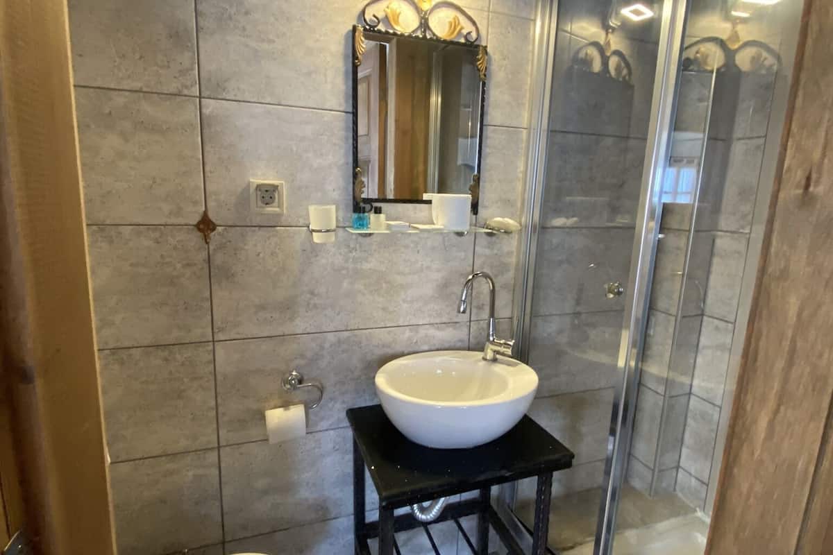 shower, free toiletries, hair dryer, slippers