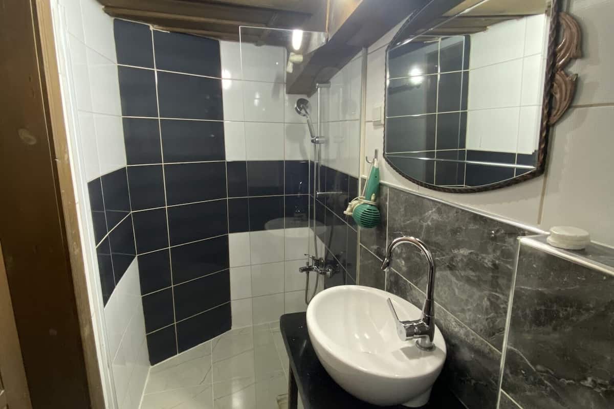 shower, free toiletries, hair dryer, slippers