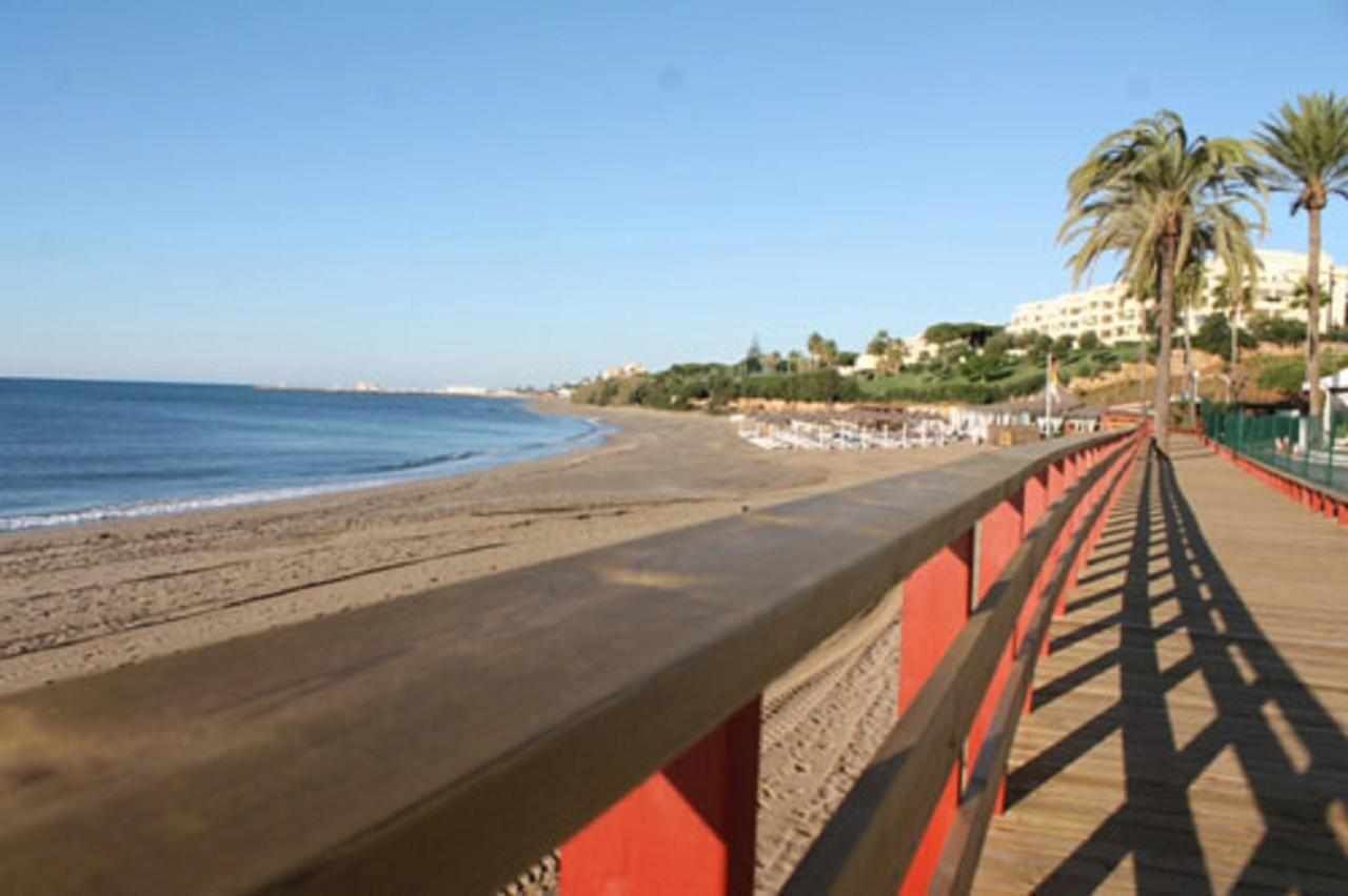 Une plage avec une promenade en bois et des palmiers.