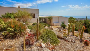 A modern house with a desert garden featuring cacti and succulents.