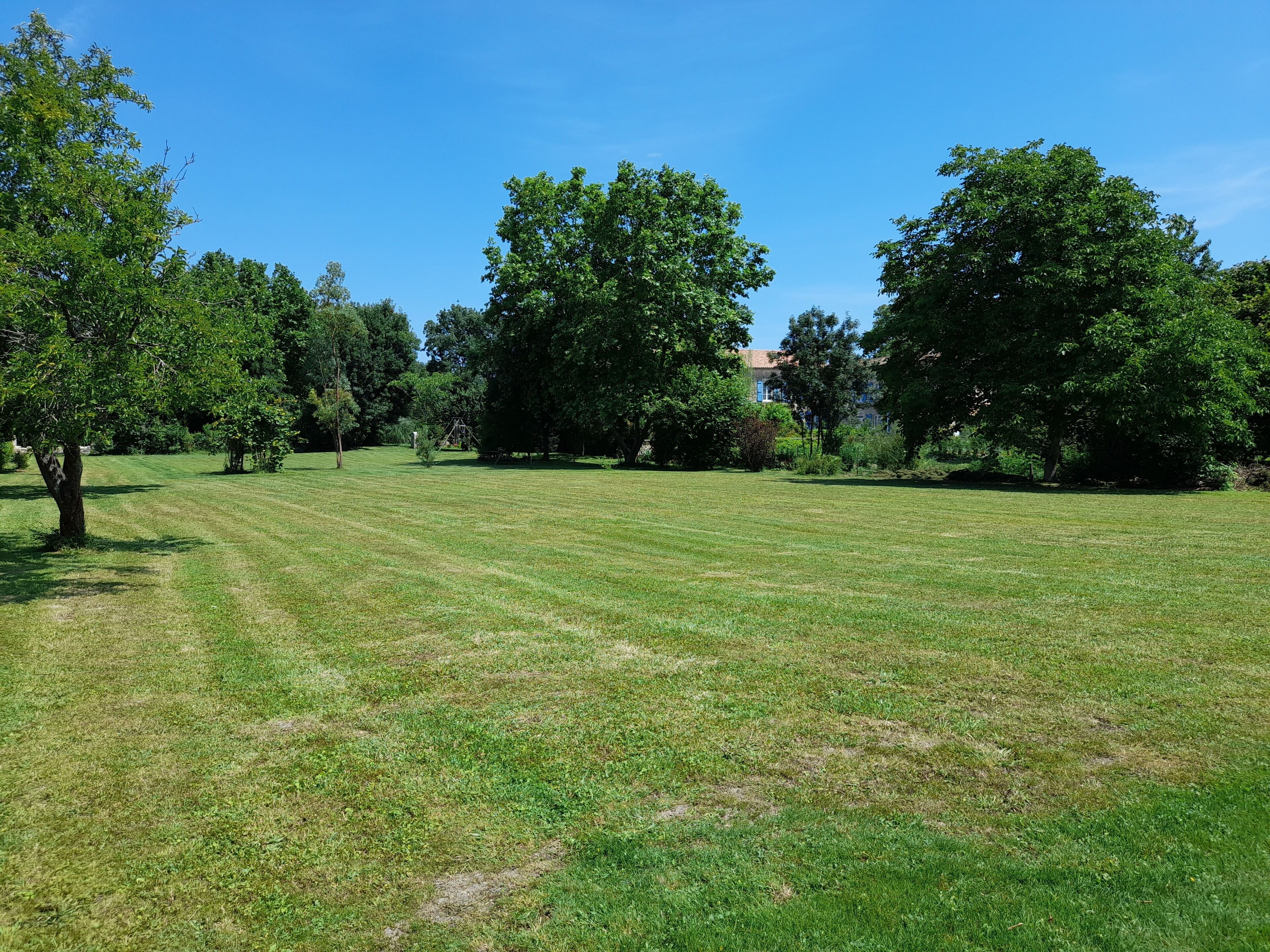 Eine grüne Wiese mit Bäumen und einem strahlend blauen Himmel.