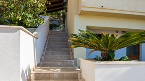 Escadaria que leva à entrada de um edifício, cercada por uma parede branca e uma palmeira.