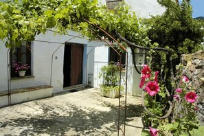 Detalle del exterior