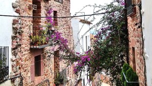 Una calle estrecha con edificios de piedra, balcones adornados con flores moradas y un cielo despejado.