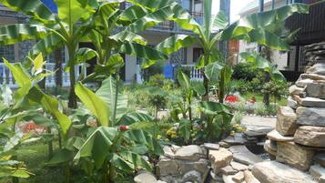 Jardin