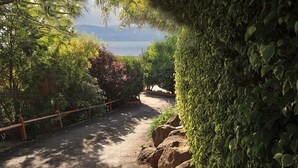 A gravel path leading through a lush garden with a wooden fence and a view of a body of water in the distance. - Eden Ramot Chalets (Ramot)