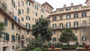 Une cour intérieure avec un arbre au centre, entourée d’immeubles dotés de balcons et de fenêtres.