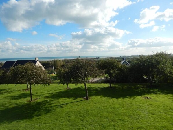 A grassy field with trees and houses in the background.