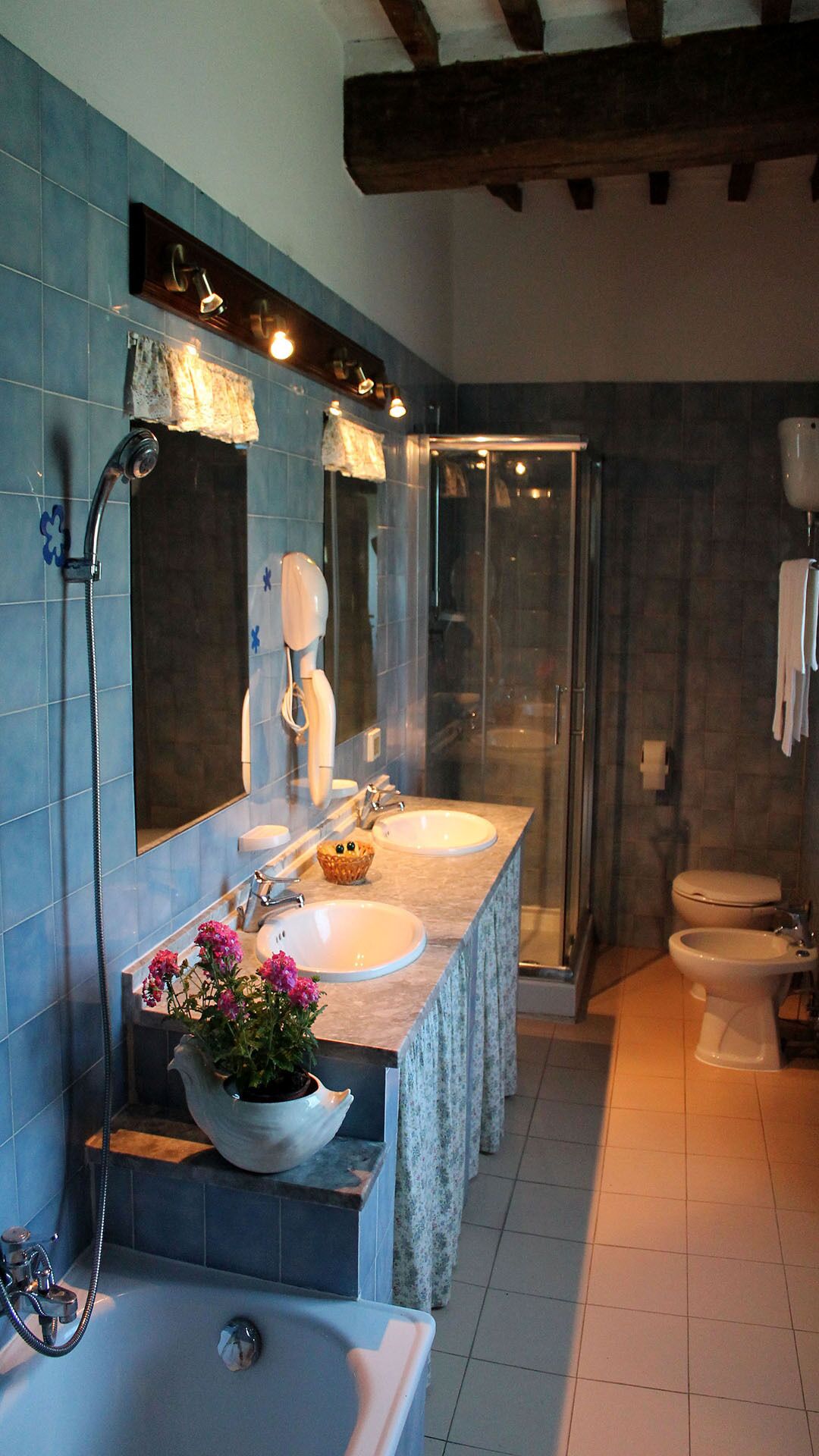 Combined shower/tub, hair dryer, bidet, towels