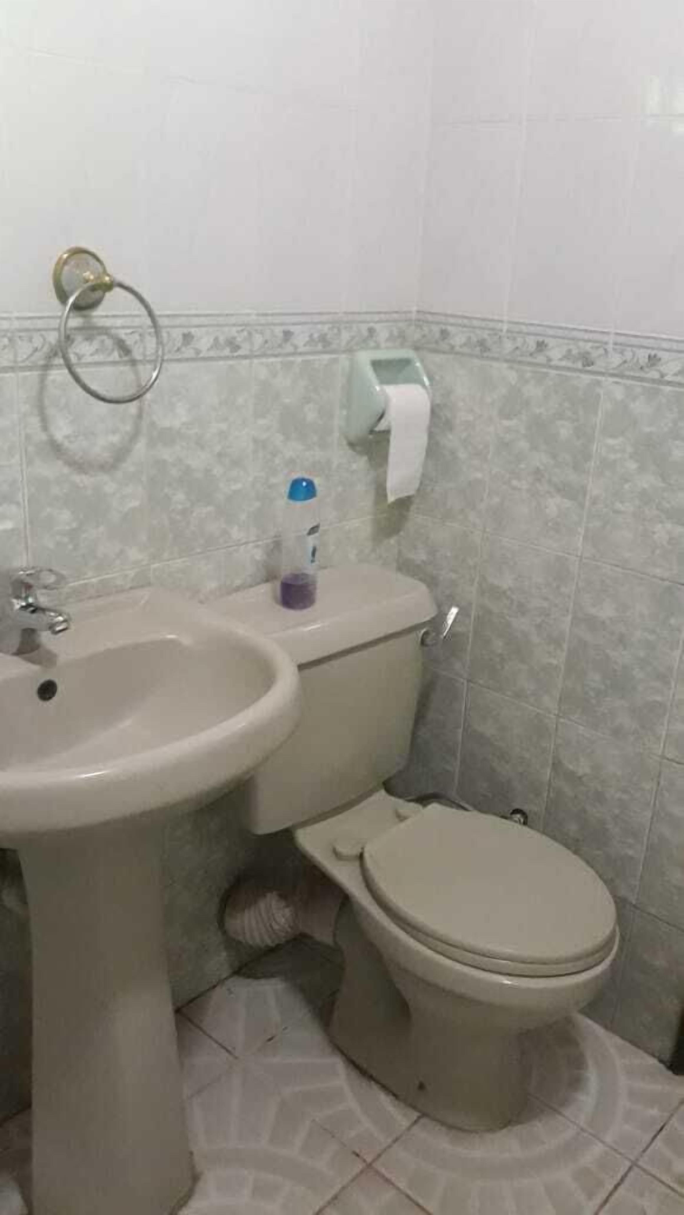 A bathroom with a sink, toilet, and a toilet paper holder.