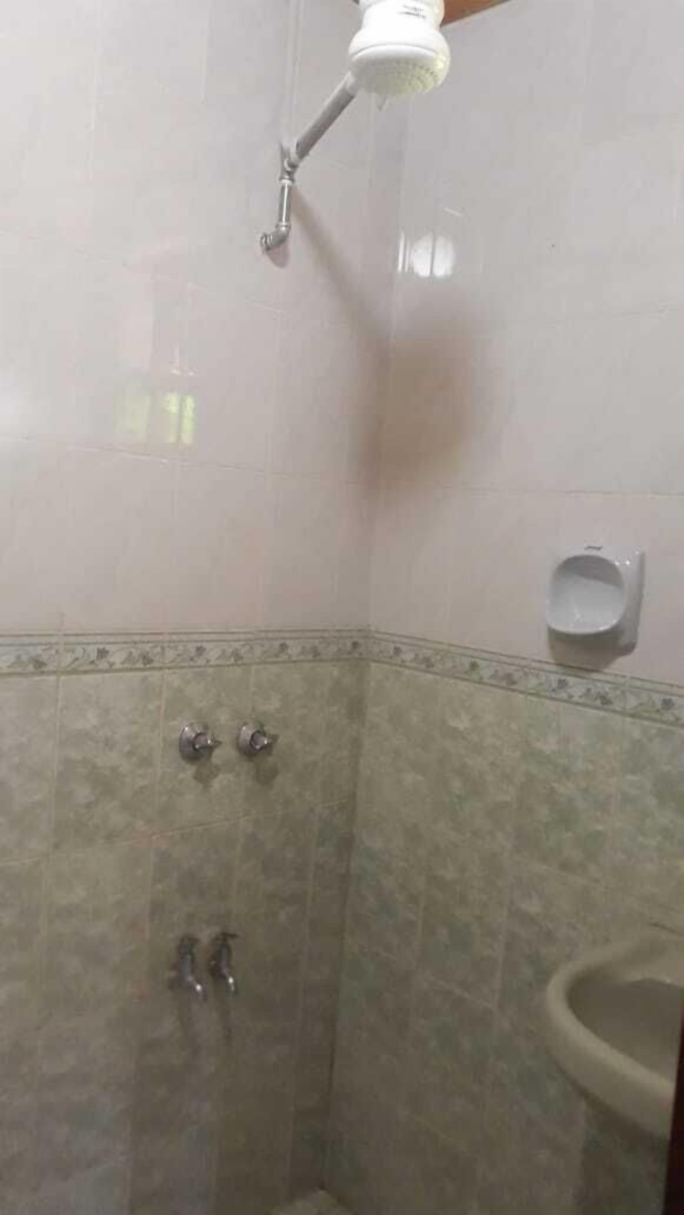 A shower area with a handheld showerhead, a wall-mounted toilet, and a sink.