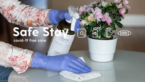 A person wearing gloves cleaning a table with a spray bottle and a cloth, next to a potted plant. - MARGI Nell Apartament (Szczecin)