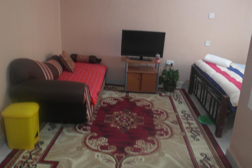 Ein kleiner, möblierter Raum mit einer Couch, einem Bett, einem Fernseher und einem Teppich mit Muster.