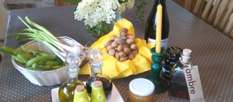 rustieke boerderij boerderij: charme en de natuur!