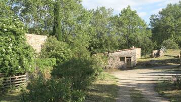 Terrein van de accommodatie