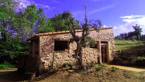 Un edificio de piedra con una puerta y ventanas, rodeado de árboles y un sendero de tierra.