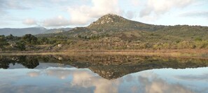 صورة غير مصنفة، 2 من 22، زرّ