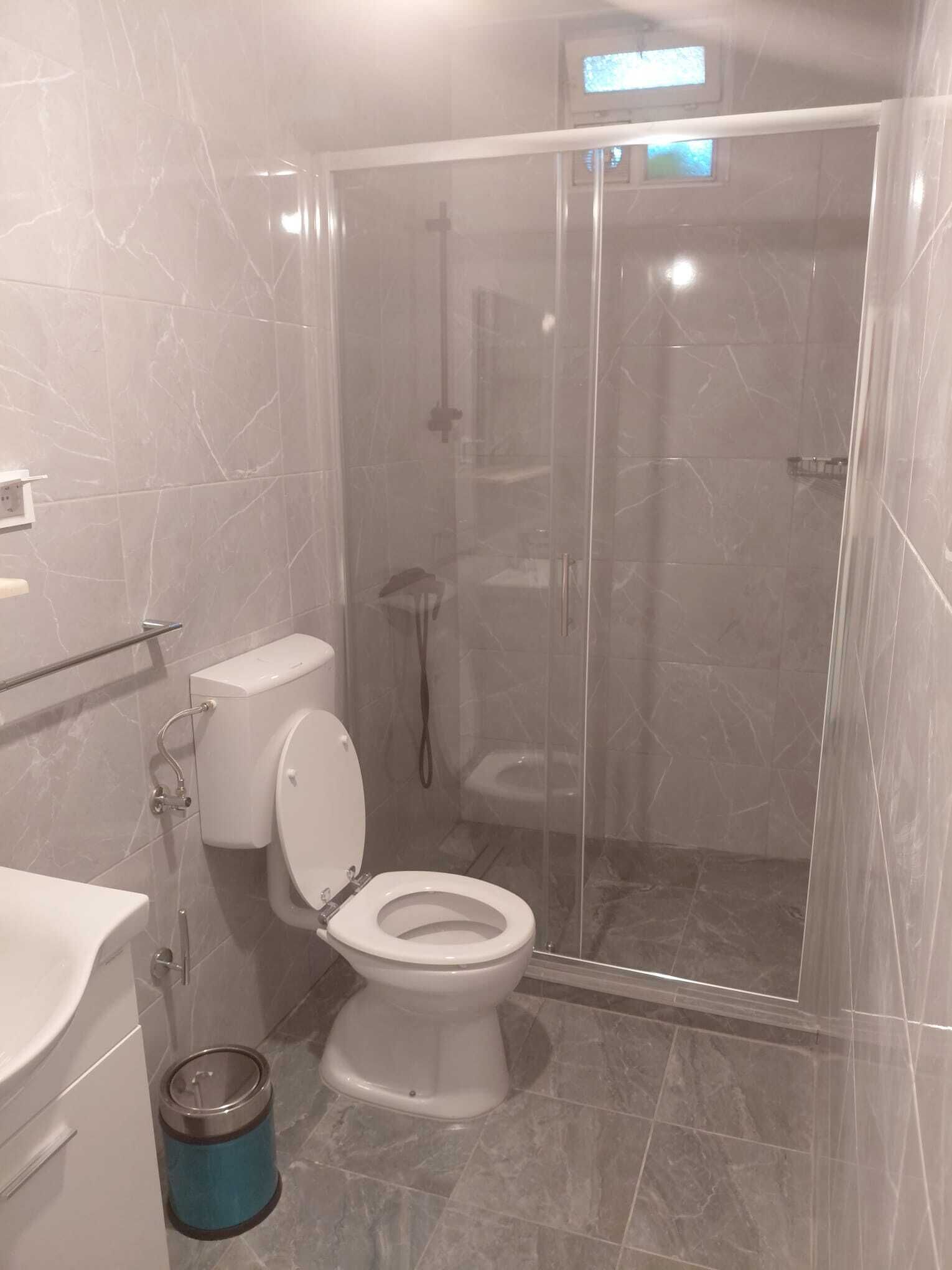 A modern bathroom with a toilet, shower, and glass-enclosed shower stall.