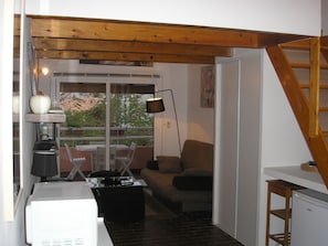 Smart TV, DVD player, books, music library