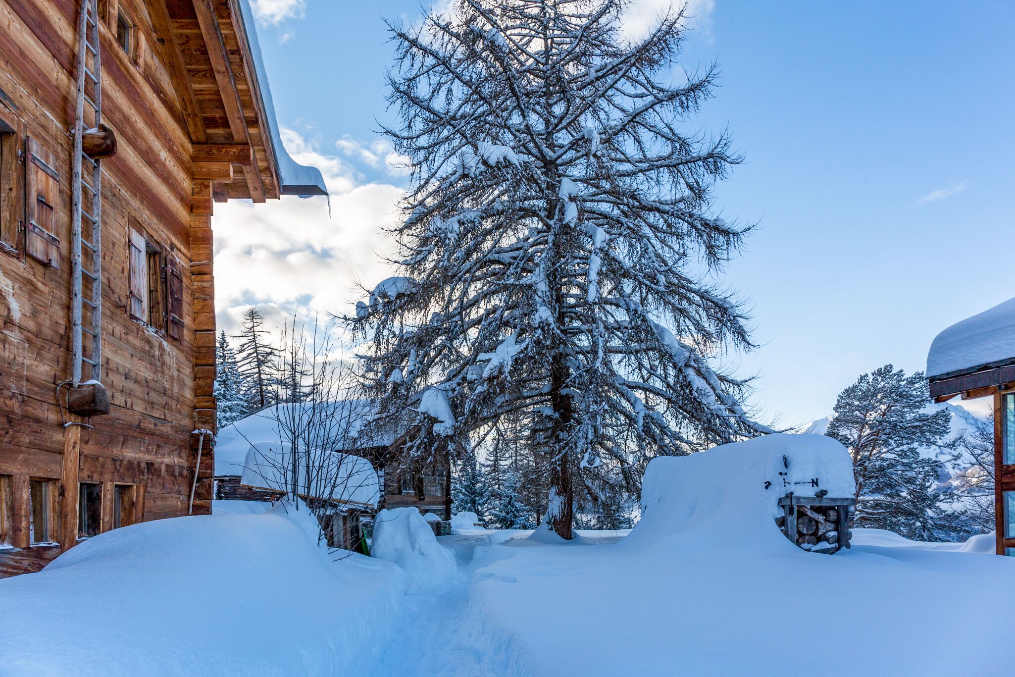 Jardines del alojamiento