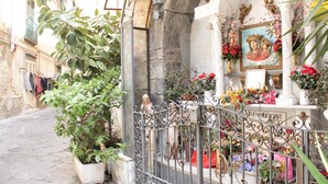 Una calle estrecha con una reja de hierro forjado, plantas en macetas y una estatua.