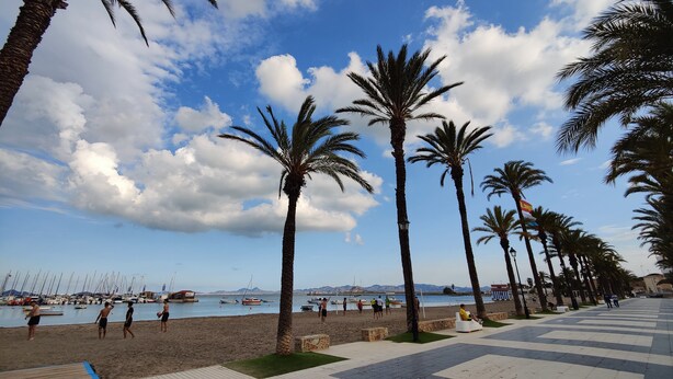 A beach with palm trees, a tiled walkway, and boats in the water.